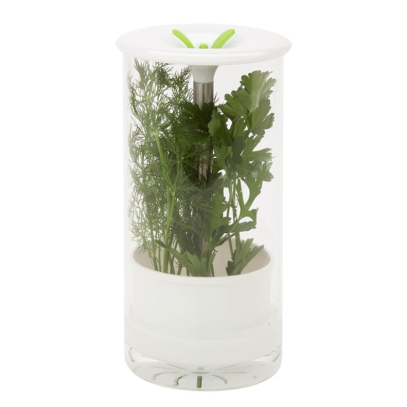 Glass Herb Preserver