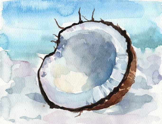 Watercolor paintings are so in. This one is modern and will spruce up any space.
Coconut Watercolor Print ($8-$95)