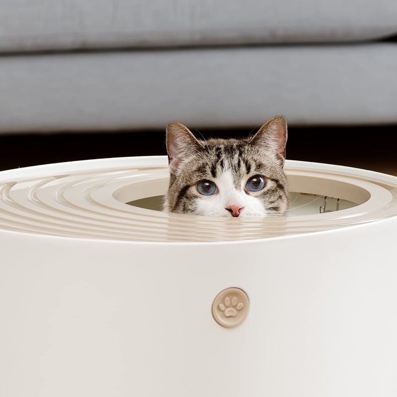 Iris Top Entry Cat Litter Box