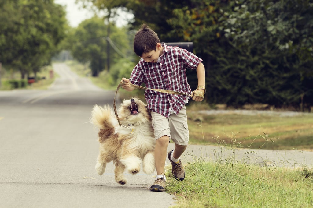 Cute Photos of Kids and Dogs