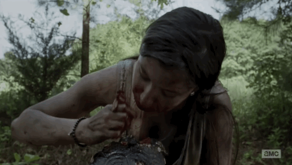 The "Save Terrapins" Scene