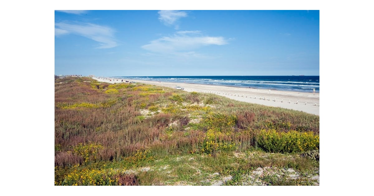 Bachelorette Party Ideas in Texas | POPSUGAR Smart Living Photo 5