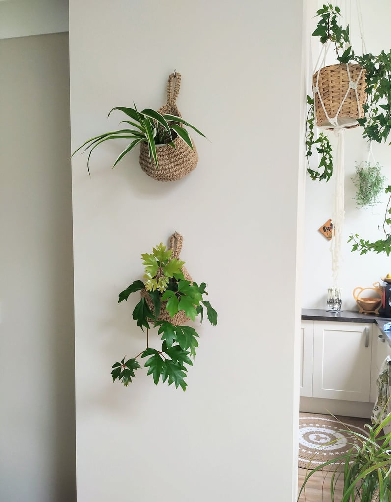 Eco-Friendly Plant Hanger