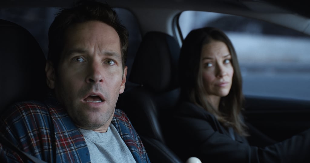 Scott still manages to be dopey yet adorable in Ant-Man and the Wasp.