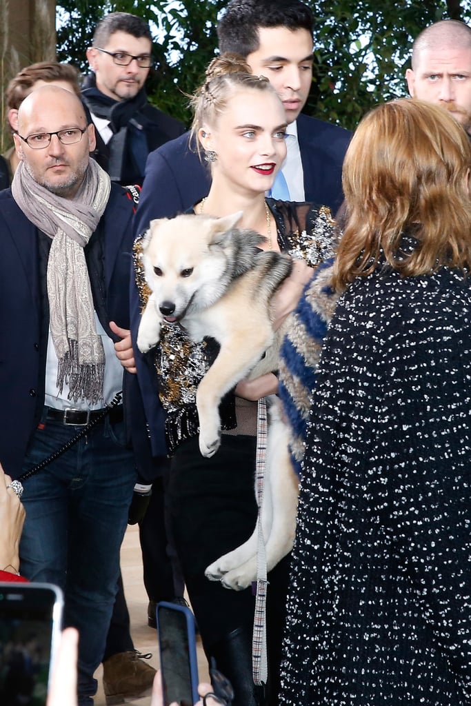Cara Delevingne Brings a Dog to the Chanel Couture Show 2016
