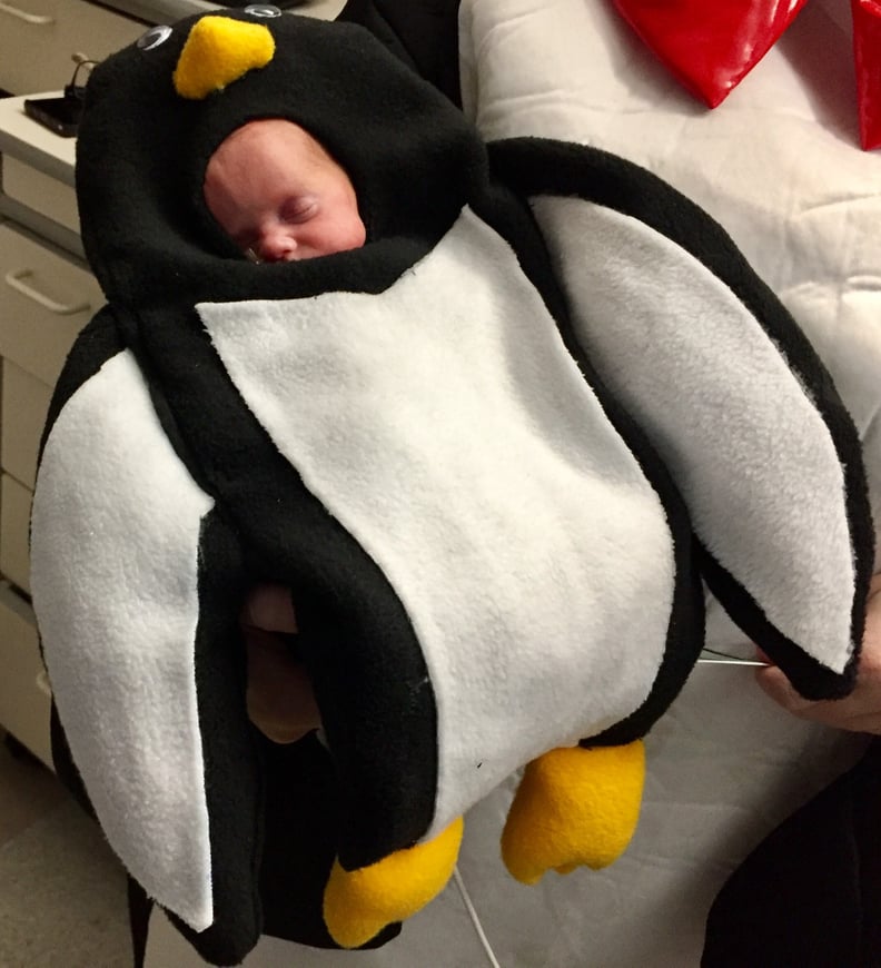 Penguin