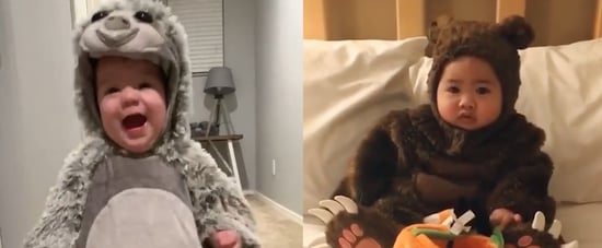 Video of Cute Kids Halloween Costumes | I Kid You Not