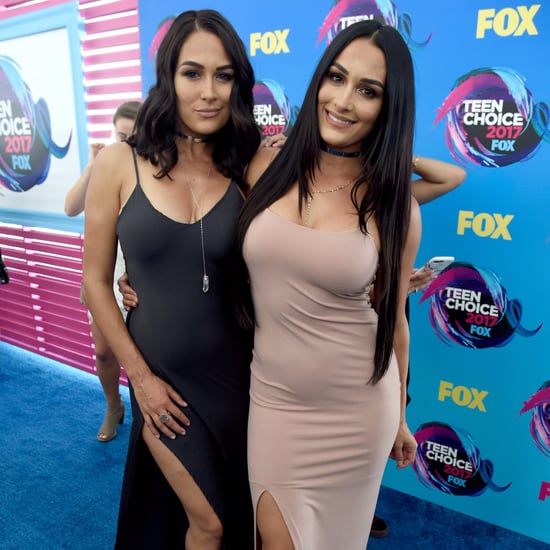 Best Nikki and Brie Bella Pictures 2017