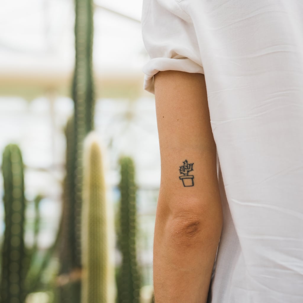 Prickly Pear Cactus Temporary Tattoo  Iconic Style  Home