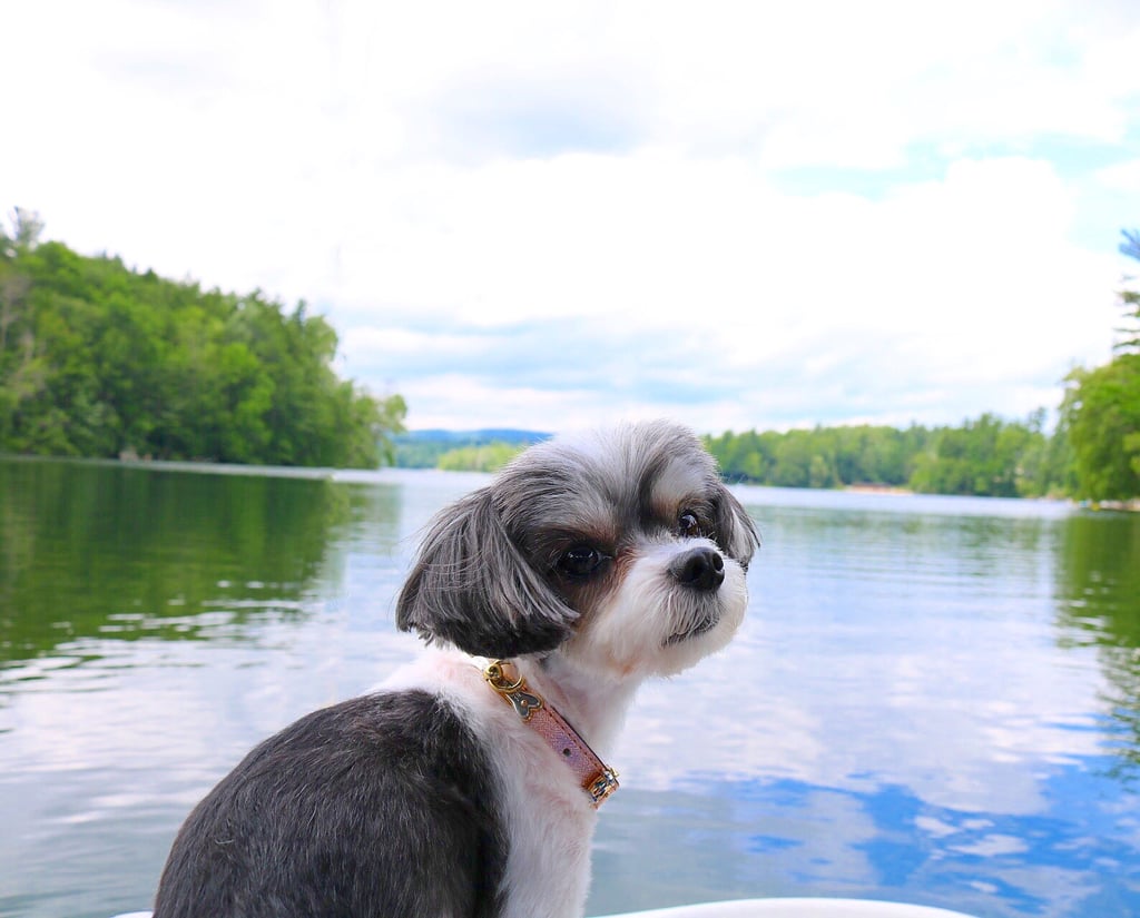 The Berkshires are rich in culture, and there is a lot going on in the Summer.