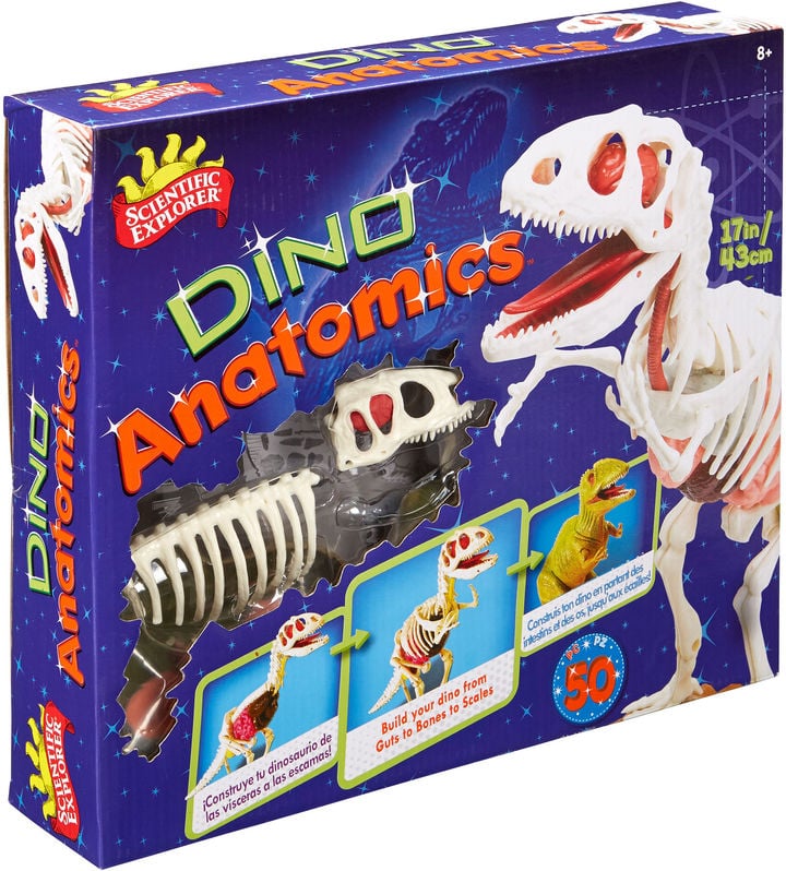 Discovery Toy