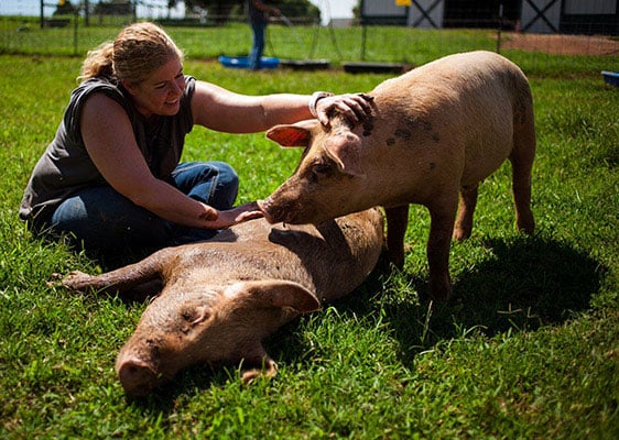 Tennessee — The Gentle Barn