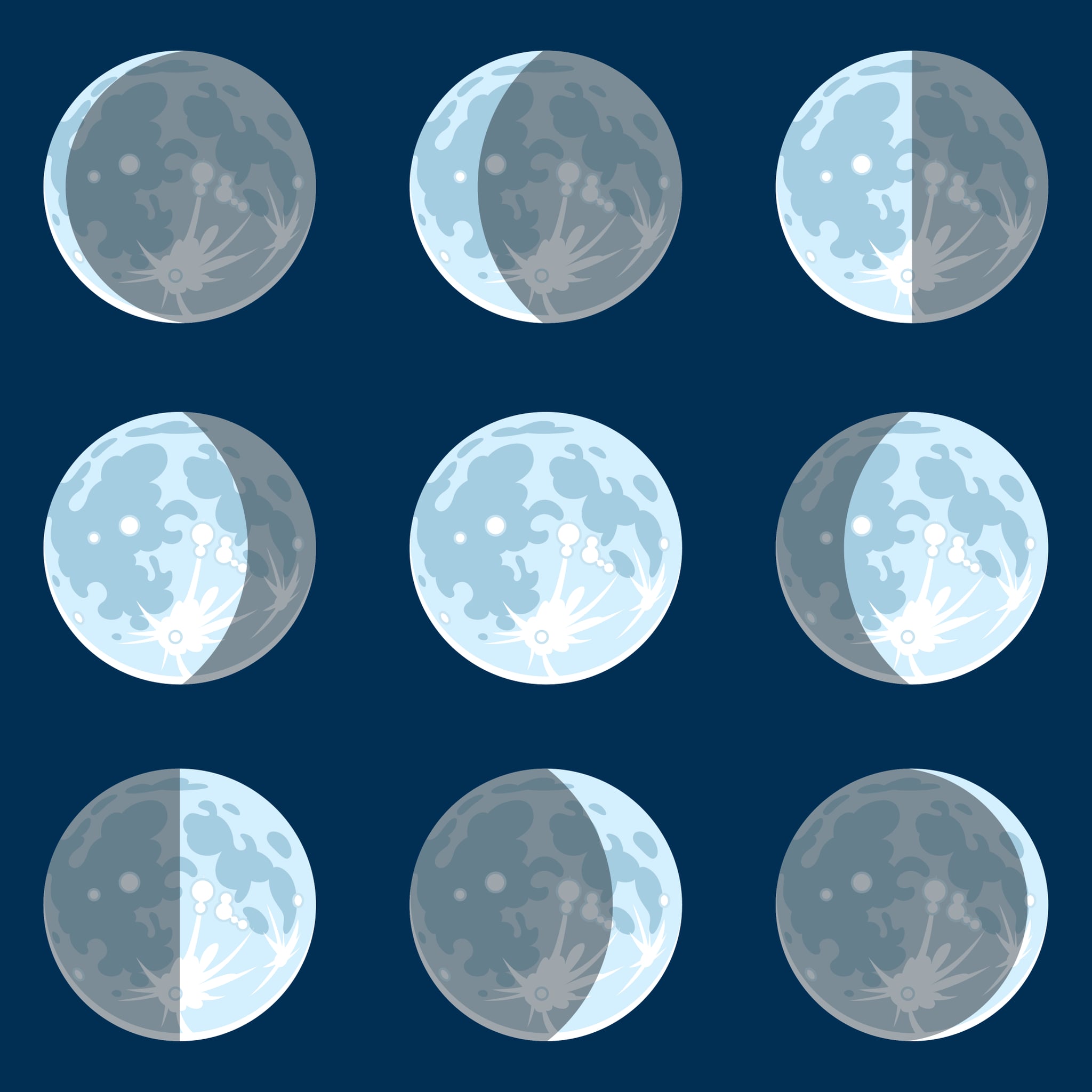 Vecter illustration of the moon phases