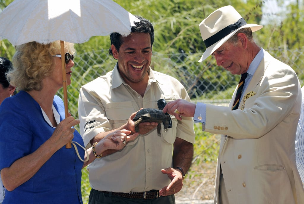 Photos of Prince Charles With Animals