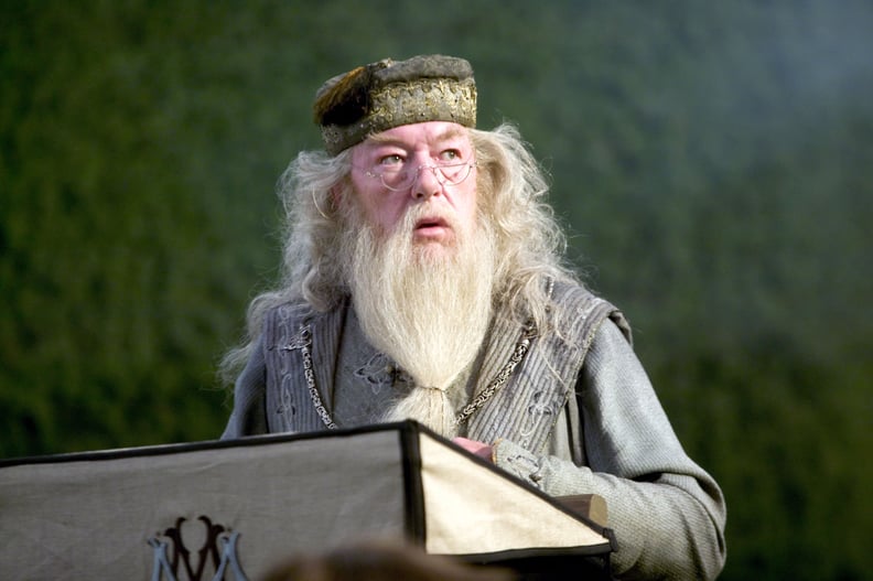 HARRY POTTER AND THE GOBLET OF FIRE, Michael Gambon, 2005, (c) Warner Brothers / courtesy Everett Collection