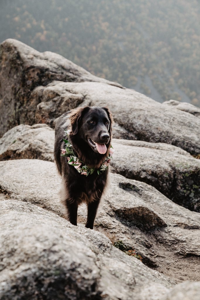 New Hampshire Outdoor Adventure Elopement