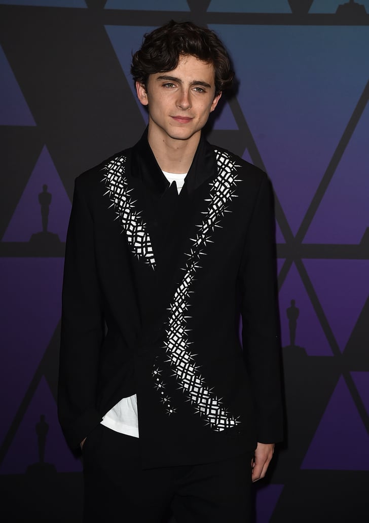 timothee chalamet pop funko