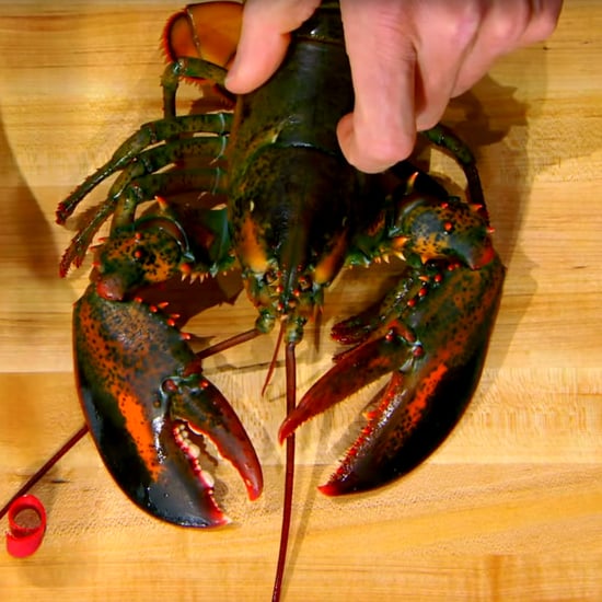 How Gordon Ramsay Shells a Lobster