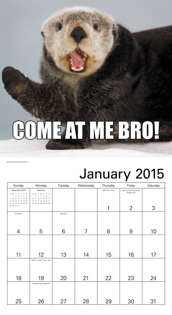 Animal Memes Wall Calendar ($13)