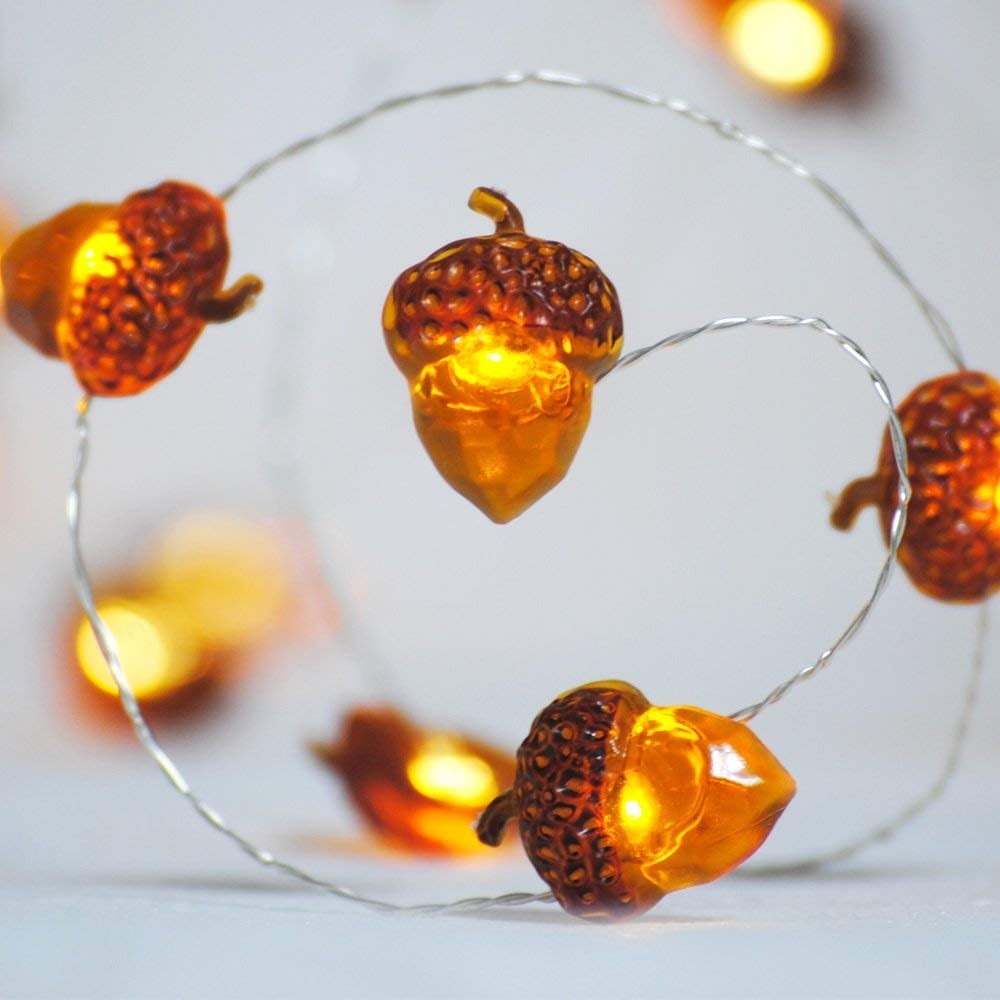 Acorn Silver Wire LED Lights