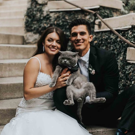 Photos of a Cat Who Was the Best Man in a Wedding