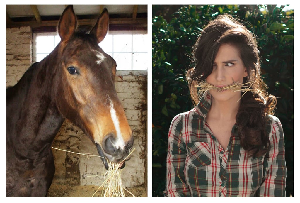 Trigger, Horse/Daughter