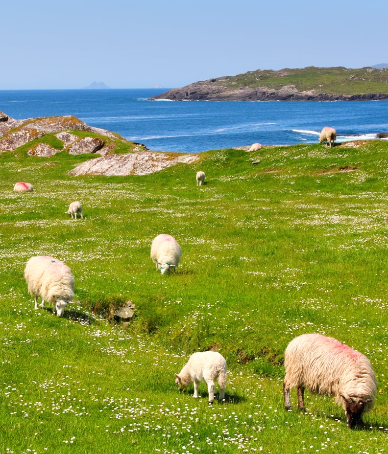 Ring of Kerry