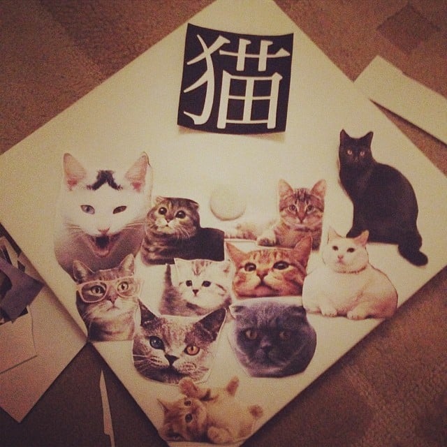 Cats because, duh. 
Source: Instagram user passe_de_mode