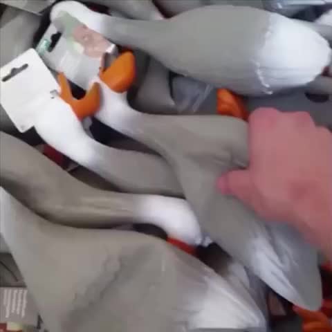 When you know that not even the duck army meme is safe.