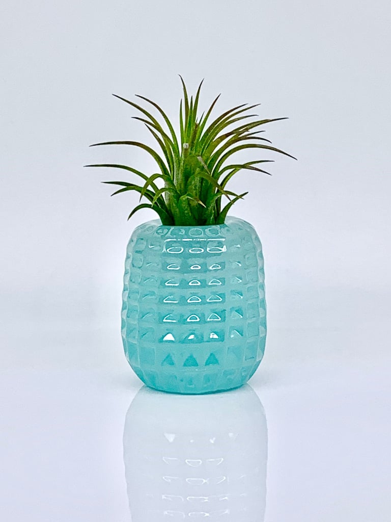 Pineapple Planter With Live Air Plant