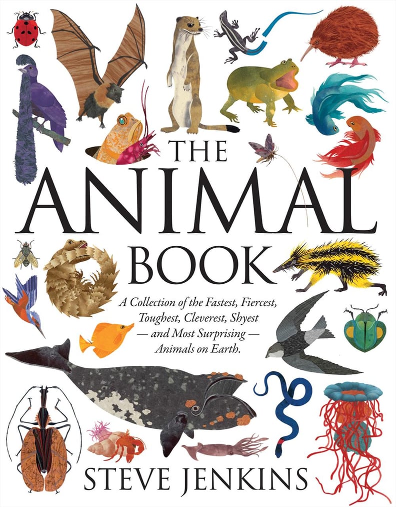 The Animal Book (6+)