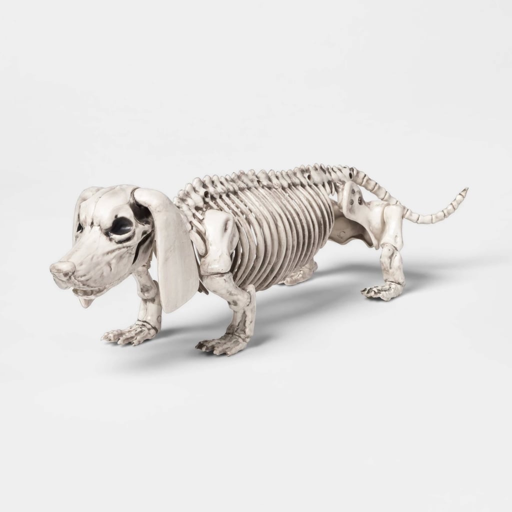 Dachshund Skeleton Cheap Target Halloween Decorations 2019 POPSUGAR