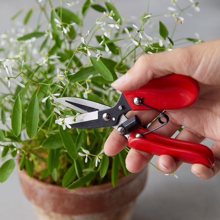 Ergonomic Floral Shears Best Gardening Gifts For Mother's Day 2020