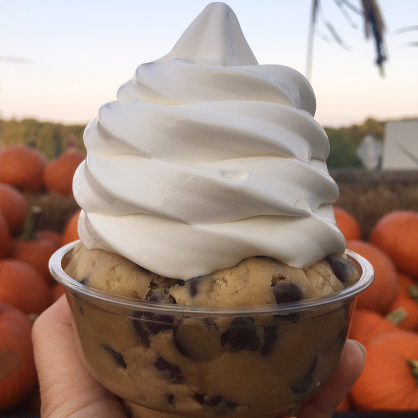 Stew Leonard's Cookie Dough Ice Cream Cup POPSUGAR Food