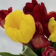 This Simple Hack Will Keep Your Tulips From Drooping Forever