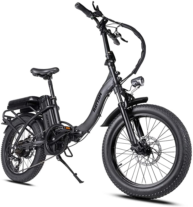 Rattan 48V 500W/750W Electric Bike