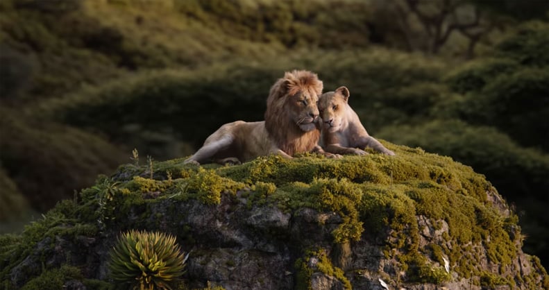 Simba and Nala From "The Lion King"
