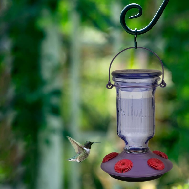 A Top-Fill Feeder: Perky-Pet Lavender Field Top-Fill Decorative Glass Hummingbird Feeder