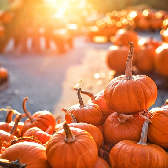 How to Safely Visit a Pumpkin Patch This Fall
