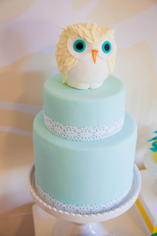 Whoooo's That on Your Cake?