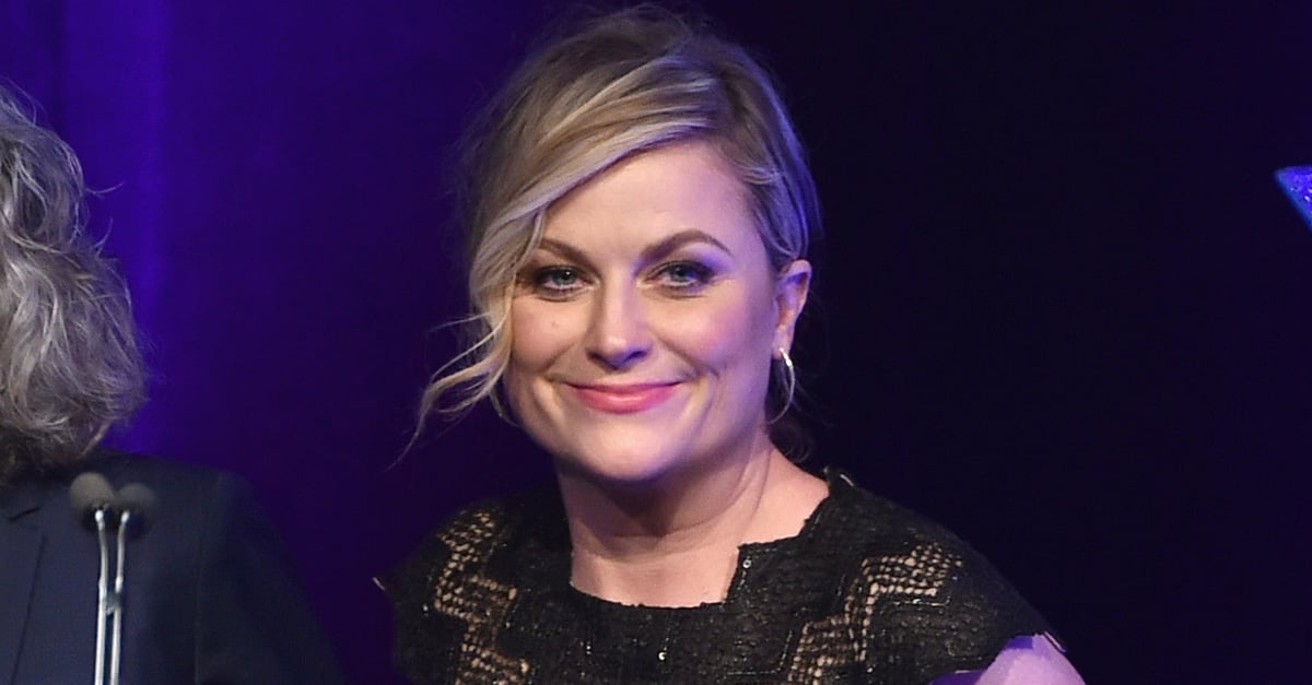 Amy Poehler Pays Tribute to Harris Wittels PS Celebrity