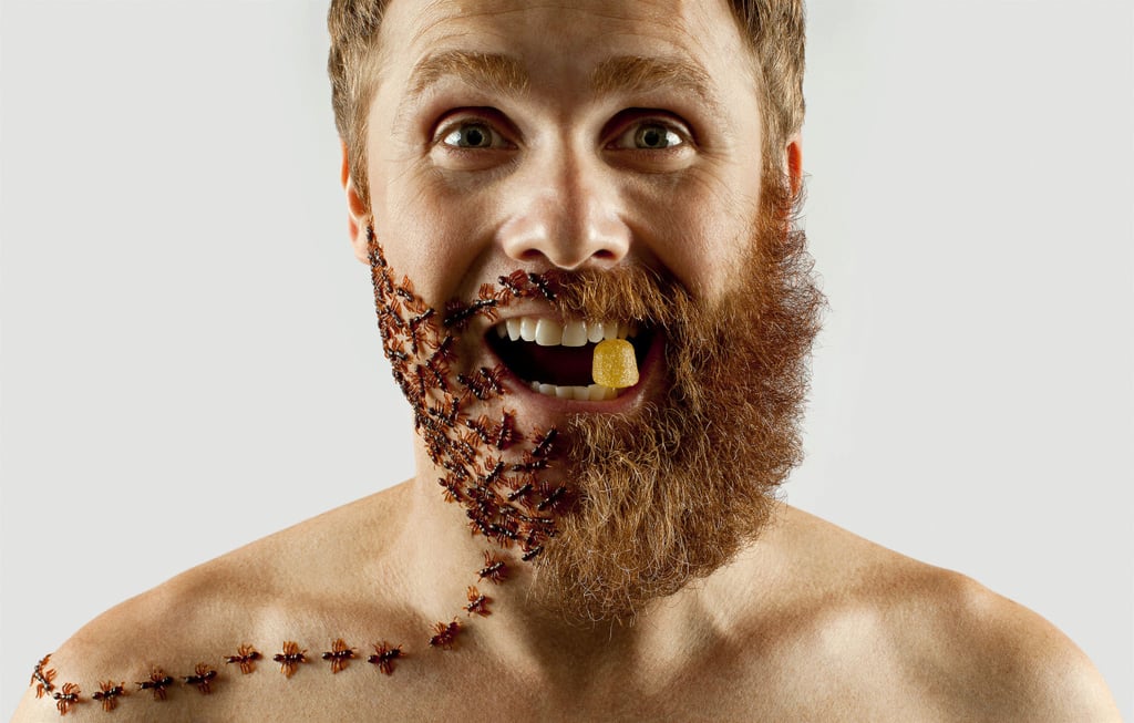 Bearded Trail
