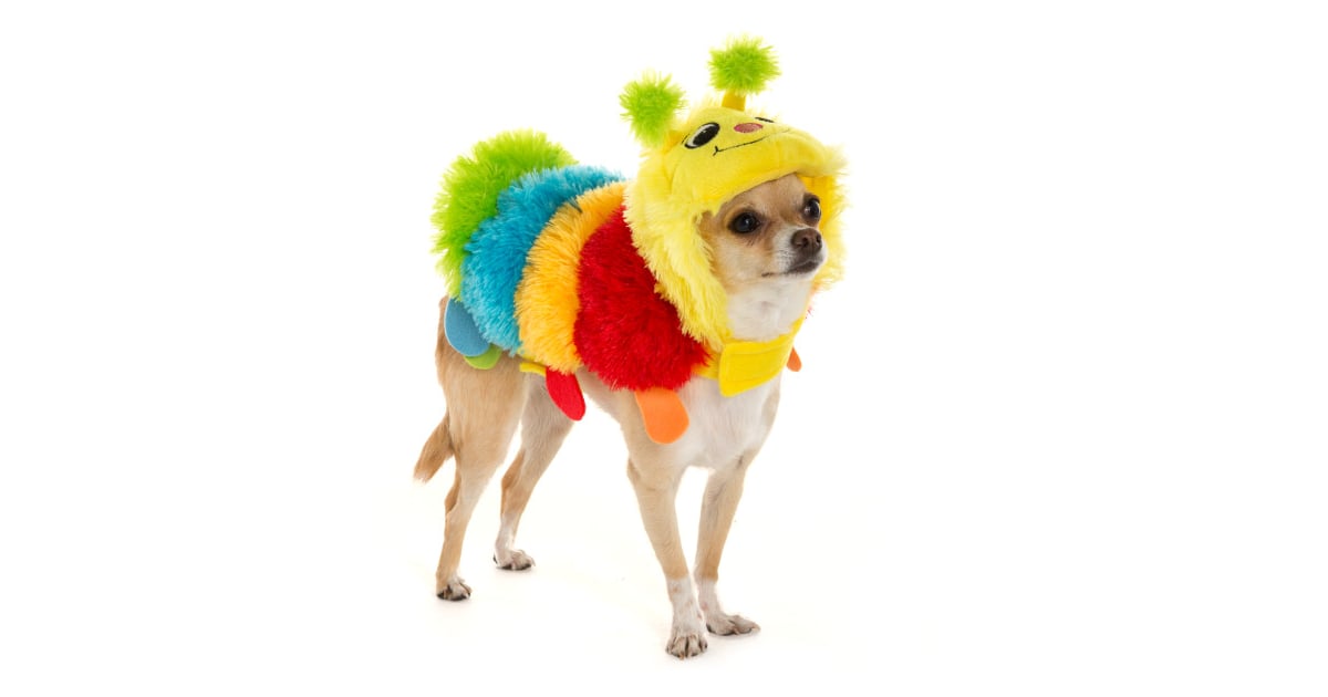 Caterpillar (10) PetSmart Dog Halloween Costumes 2016 POPSUGAR