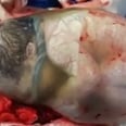 This Video of a Baby Being Born en Caul Is Going to Blow Your Mind