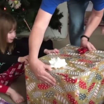 Video of Cat Sneaking Out of Christmas Box