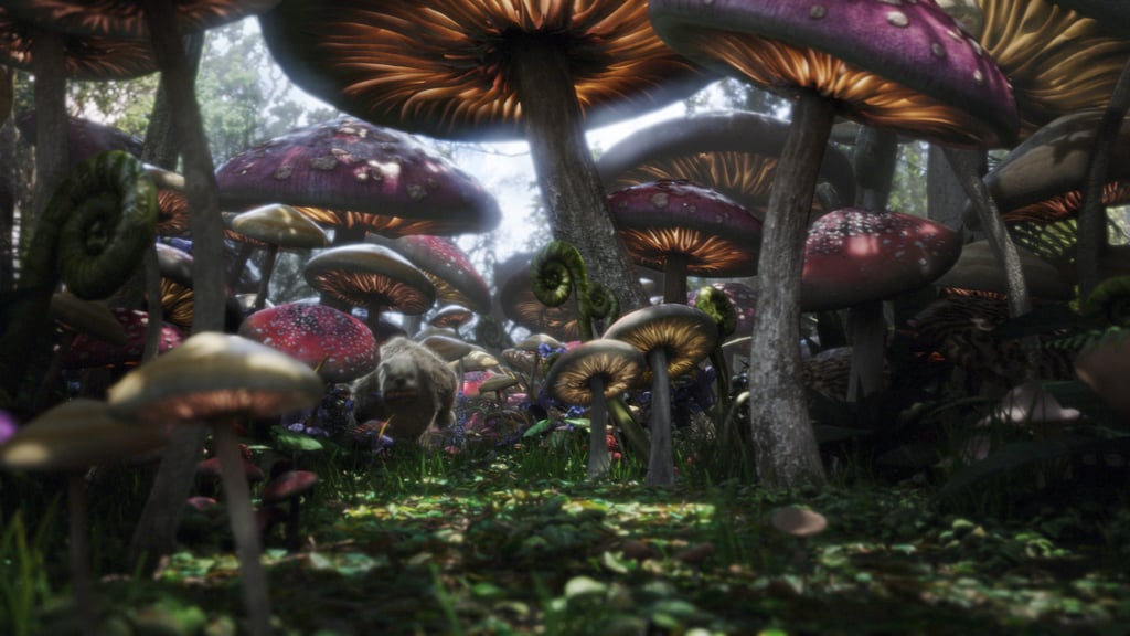 Wonderland