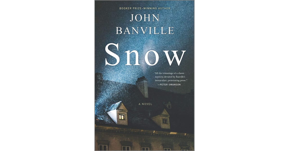 john banville snow book review