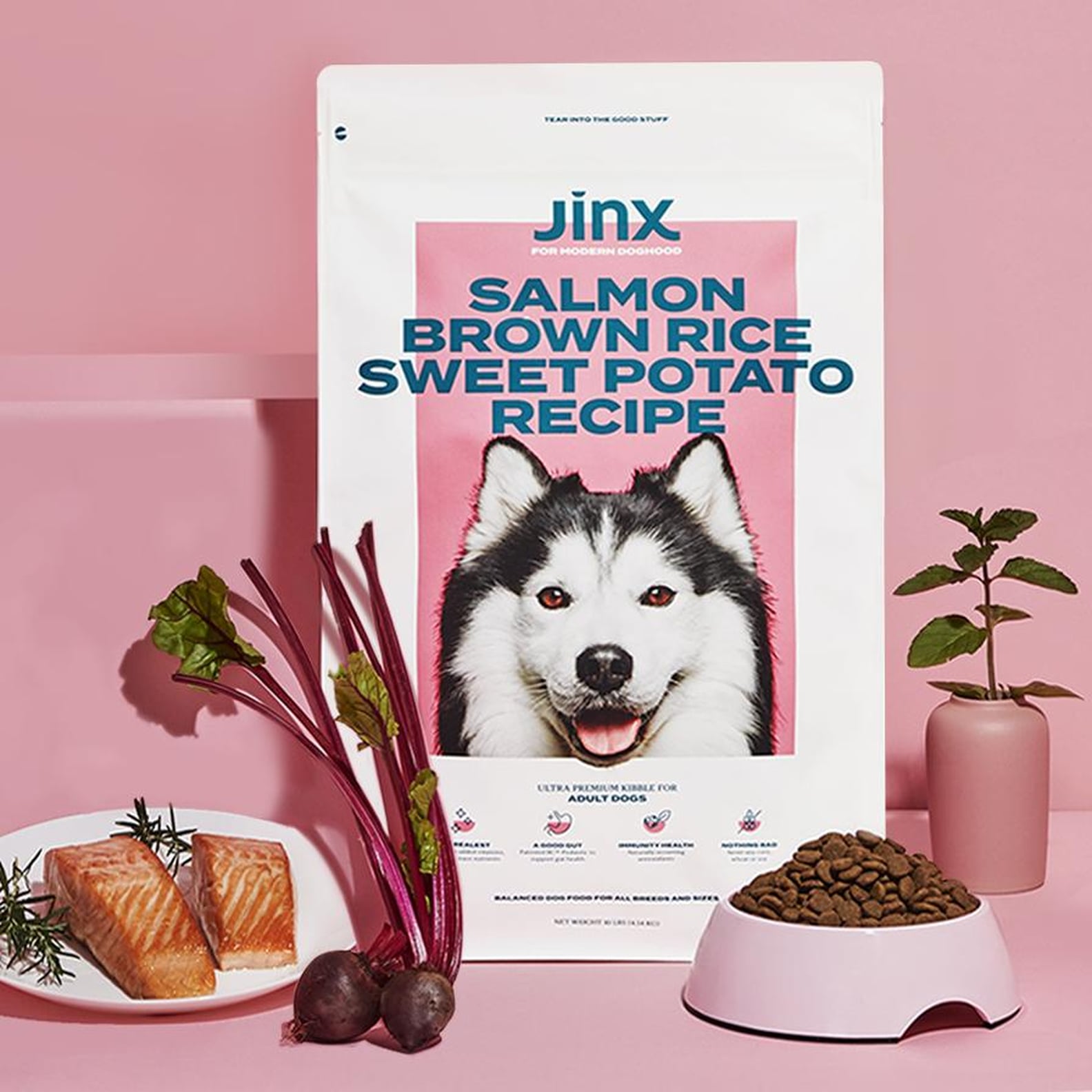 Jinx Dog Food Review POPSUGAR Pets