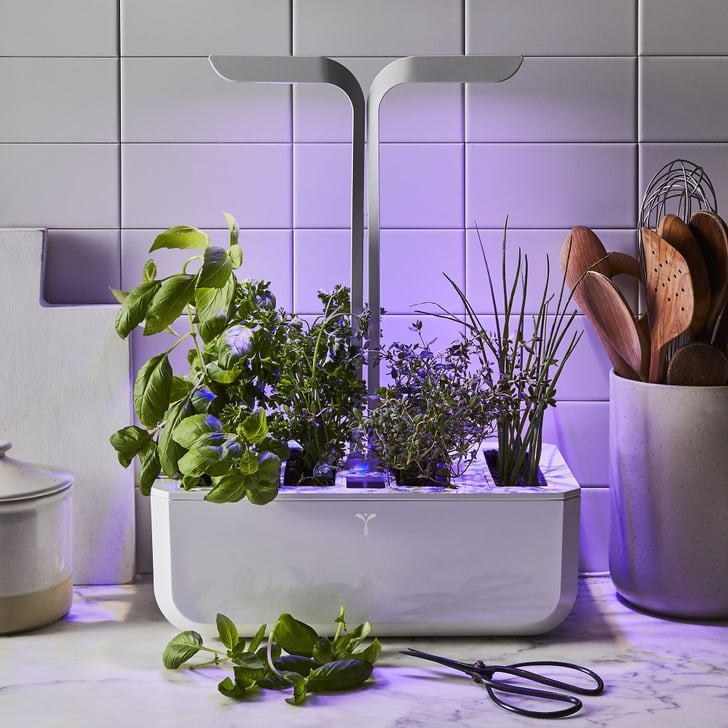 Veritable Smart Indoor Garden & Herb Grower Best Kitchen Products From Food52 POPSUGAR Food