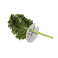 This Kale and Herb Razor Is Such a Fun Stocking Stuffer For People Who Love to Cook